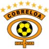https://img.zhangyuzhibol.com.cn/img/football/team/dfef59103668b52788e357e8ac07e9ef.png